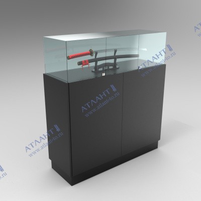 Витрина музейная В.С.3